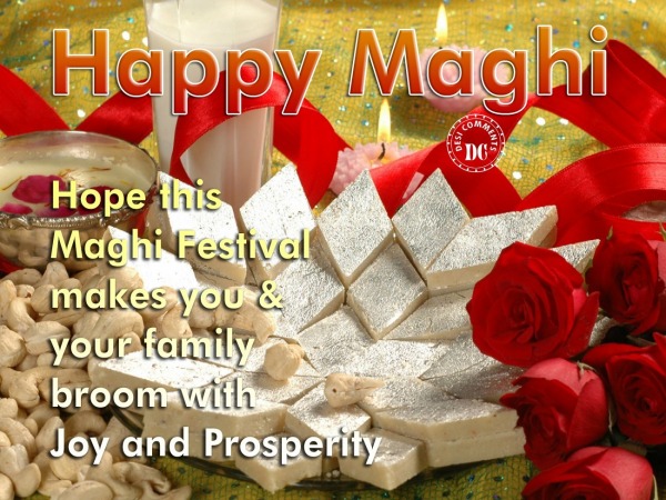 Happy maghi images1