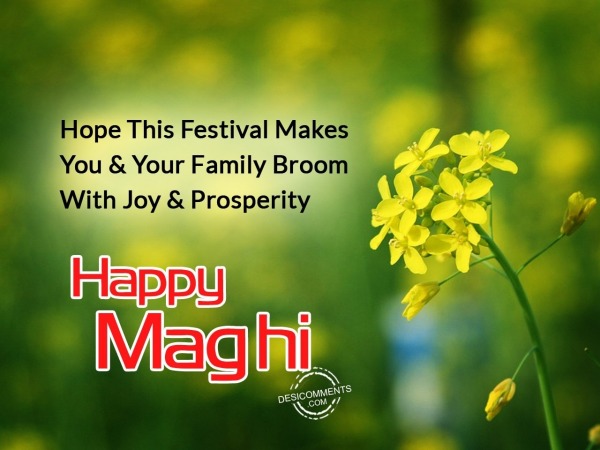 Happy maghi images3