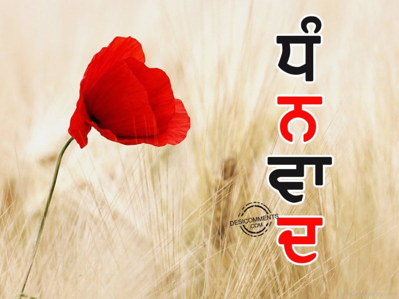Dhanwaad With Red Flower