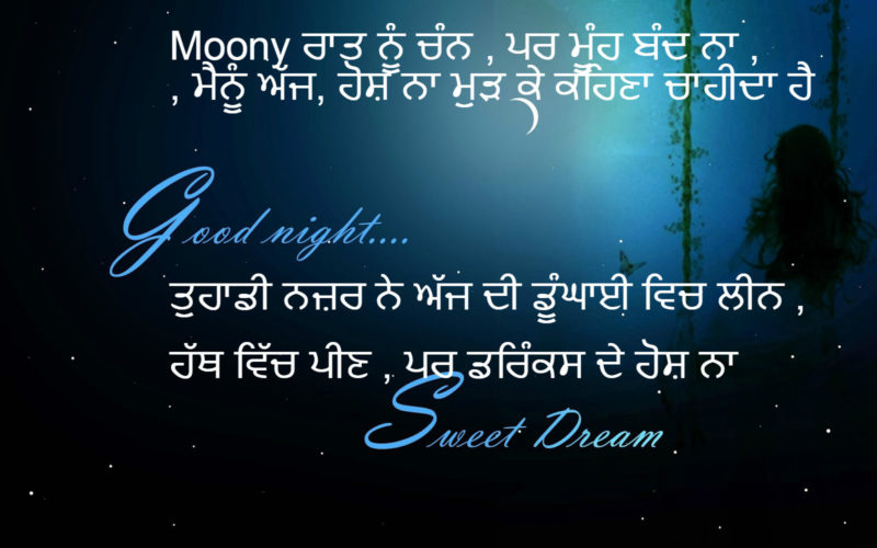 Good Night Quotes In Punjab Images Messages