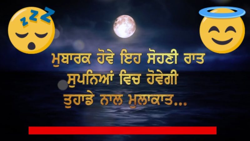 Punjabi Good Night Messages3